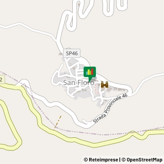 Corso Umberto I, 24,88021San Floro