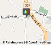 Consulenza Agricoltura e Foresta Montemiletto,83038Avellino