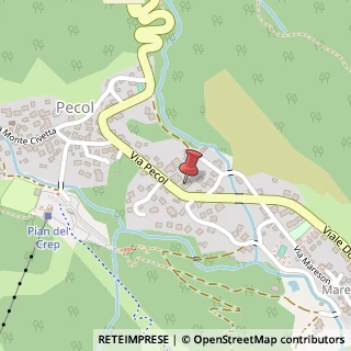 Mappa Via Pecol Nuovo, 7, 32010 Zoldo Alto, Belluno (Veneto)
