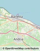 Frutta e Verdura - Dettaglio Andria,70031Barletta-Andria-Trani