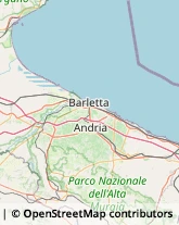 Elettrauto Trinitapoli,71044Barletta-Andria-Trani