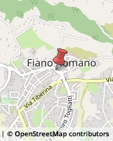 Viale Giordano Bruno, 3,00065Fiano Romano