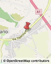 Via Tiberina, 164,00065Fiano Romano