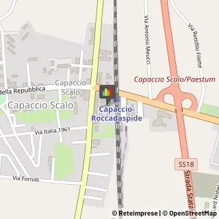 Psicologi Capaccio,84047Salerno