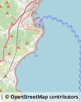 Lenti per Occhiali e Lenti a Contatto - Produzione e Ingrosso Albissola Marina,17012Savona