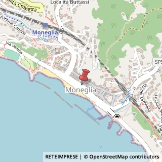Mappa Corso longhi libero 50, 16030 Moneglia, Genova (Liguria)