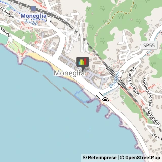 Locali, Birrerie e Pub Moneglia,16030Genova