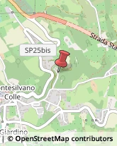 Contrada Foresta, 24,65015Montesilvano