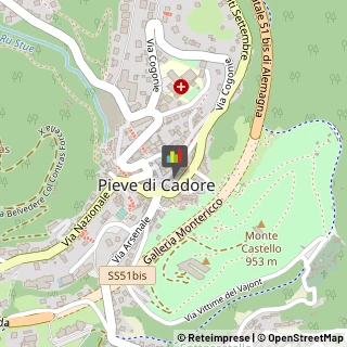 Locali, Birrerie e Pub Pieve di Cadore,32044Belluno