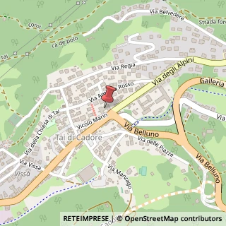 Mappa Piazza Venezia, 20, 32044 Pieve di Cadore, Belluno (Veneto)