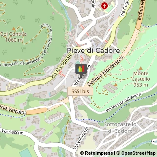 Assicurazioni Pieve di Cadore,32044Belluno