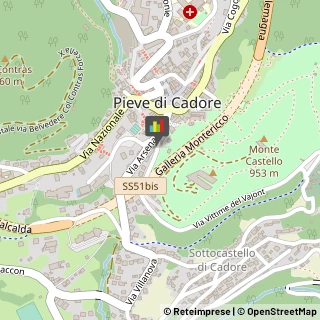 Biblioteche Private e Pubbliche Pieve di Cadore,32044Belluno