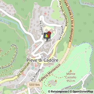 Aziende Sanitarie Locali (ASL) Pieve di Cadore,32044Belluno