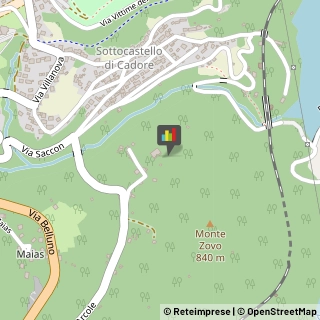 Case di Riposo e Istituti di Ricovero per Anziani Pieve di Cadore,32044Belluno