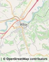 Autotrasporti Alba,12051Cuneo