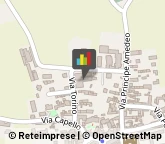 Cooperative e Consorzi Scarnafigi,12030Cuneo