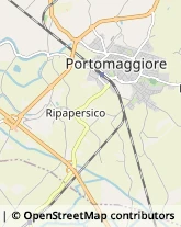 Aziende Agricole Portomaggiore,44015Ferrara