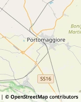 Aziende Agricole Portomaggiore,44015Ferrara