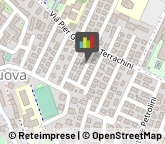 Disinfezione, Disinfestazione e Derattizzazione,42122Reggio nell'Emilia