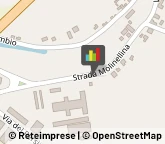 Mangimi e Foraggi,44015Ferrara