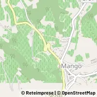 Kort Mango