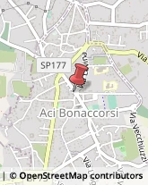 Piazza Bellini, 6,95020Aci Bonaccorsi