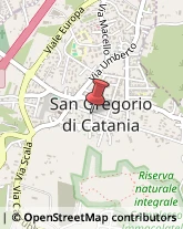Via Scuole, 33,95027San Gregorio di Catania