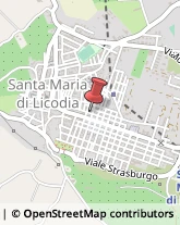 Via Giuseppe Mazzini, 48,95038Santa Maria di Licodia