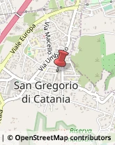 Via Zizzo, 95,95027San Gregorio di Catania