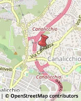 Via Carnazza, 77,95030Catania