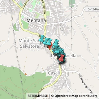 Mappa Vicolo Nomentano, 00013 Mentana RM, Italia (0.28333)