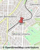 Via Giovanni Battista Tuveri, 33,09129Cagliari