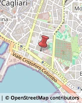 Viale Bonaria, 118,09125Cagliari