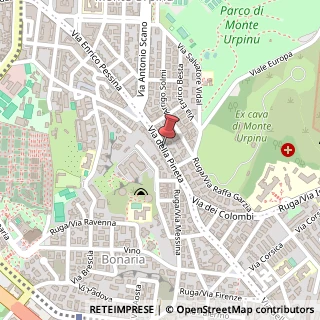 Mappa Via della Pineta, 44, 09125 Cagliari, Cagliari (Sardegna)