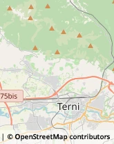 Oli Alimentari e Frantoi Terni,05100Terni