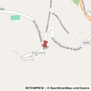 Mappa Via XXIV Maggio, 22, 05020 Alviano, Terni (Umbria)
