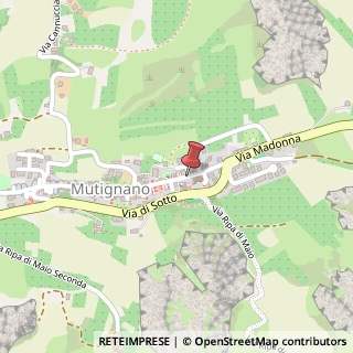 Mappa Piazza San Silvestro,  7, 64025 Pineto, Teramo (Abruzzo)