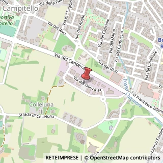 Mappa Via dei Gonzaga, 9, 05100 Terni, Terni (Umbria)