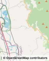 Comuni e Servizi Comunali Alviano,05020Terni