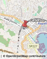 Via Giovanni Amendola, 12,16035Rapallo