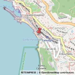 Mappa Via Giuseppe Garibaldi, 73, 16032 Camogli, Genova (Liguria)