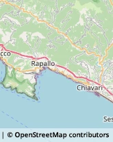 Caldaie a Gas Rapallo,16035Genova