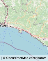 Caldaie a Gas Recco,16036Genova