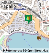 Via Venezia, 88,16035Rapallo