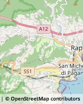 Tappezzieri Camogli,16032Genova