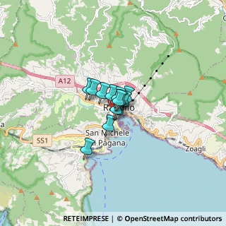 Mappa Via Trieste, 16035 Rapallo GE, Italia (0.61615)