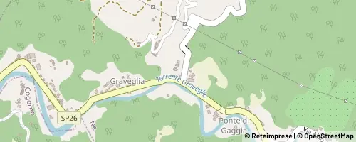 Mappa Ne