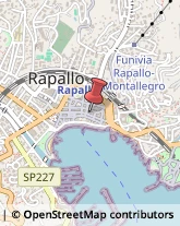 Via Venezia, 88,16035Rapallo