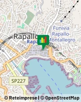 Via Venezia, 80,16035Rapallo