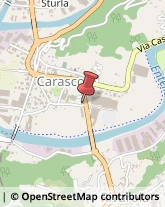 Via Montanaro Disma, 140,16042Carasco